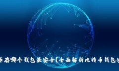 比特币存哪个钱包最安全