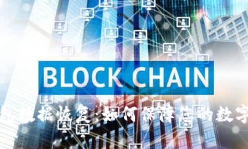 区块链钱包数据恢复:如何保障您的数字资产安全