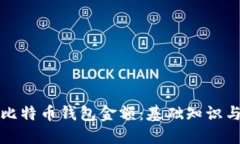 如何查看比特币钱包金额