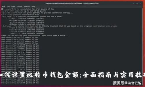 如何设置比特币钱包金额:全面指南与实用技巧
