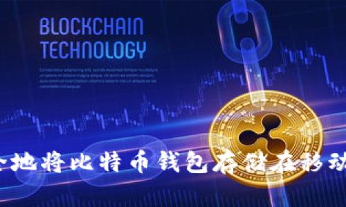 如何安全地将比特币钱包存储在移动硬盘中?