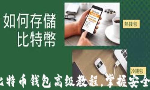 全面揭秘:比特币钱包高级教程,掌握安全与交易技巧