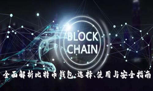 全面解析比特币钱包:选择、使用与安全指南