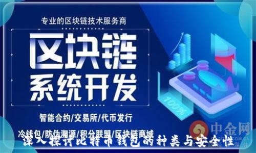 深入探讨比特币钱包的种类与安全性
