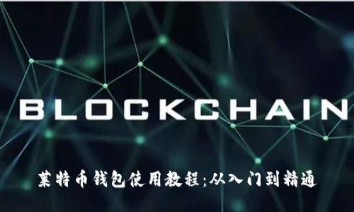 莱特币钱包使用教程:从入门到精通