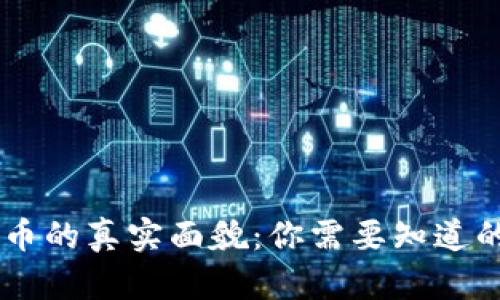 IM数字货币的真实面貌:你需要知道的所有信息