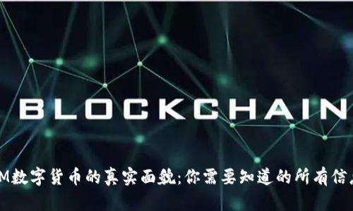IM数字货币的真实面貌:你需要知道的所有信息