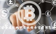 如何安全有效地下载比特