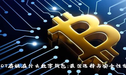 USDT存放在什么数字钱包:最佳选择与安全性分析