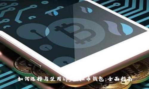 如何选择与使用hpy虚拟币钱包:全面指南