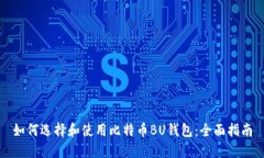 如何选择和使用比特币B