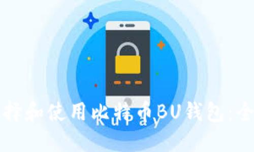 如何选择和使用比特币BU钱包:全面指南