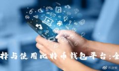 如何选择与使用比特币钱