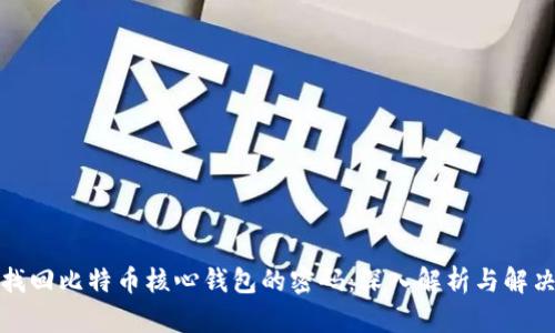 如何找回比特币核心钱包的密码:深入解析与解决方案