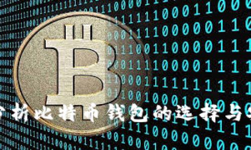 深入分析比特币钱包的选择与安全性