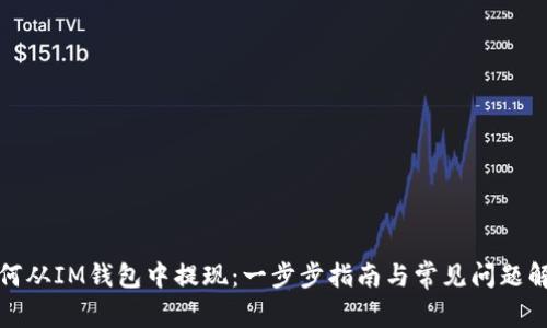 如何从IM钱包中提现:一步步指南与常见问题解答