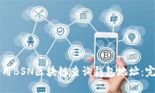 如何使用BSN区块链查询钱包地址：完整指南