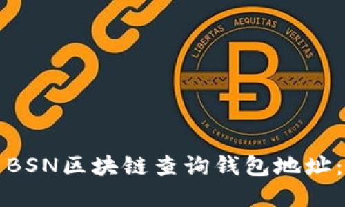 如何使用BSN区块链查询钱包地址：完整指南
