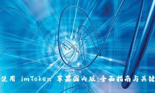 如何安全使用 imToken 苹果国内版：全面指南与关键注意事项