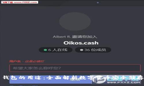 虚拟币钱包的用途：全面解析数字货币安全储存与管理