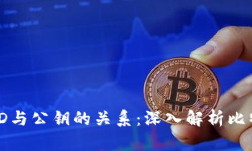 比特币钱包ID与公钥的关系：深入解析比特币安全机制