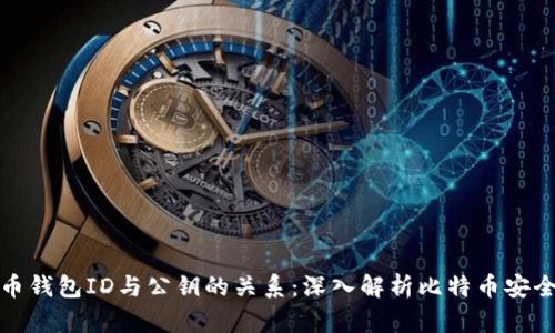 比特币钱包ID与公钥的关系：深入解析比特币安全机制