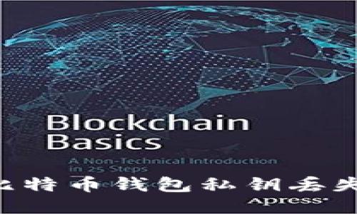如何应对比特币钱包私钥丢失:全面指南