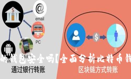 比特币官网的钱包安全吗?全面分析比特币钱包的安全性
