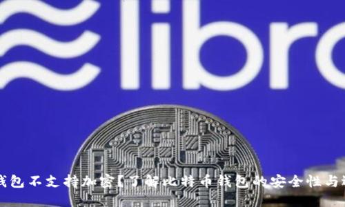 比特币钱包不支持加密？了解比特币钱包的安全性与选择指南