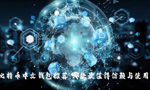 比特币中文钱包推荐:哪款最值得信赖与使用?