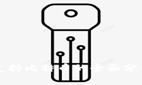 Steam钱包支持比特币的全面分析与应用指南