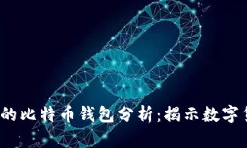 2023年最富有的比特币钱包分析：揭示数字货币财富的秘密