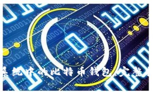 如何安全重装系统中的比特币钱包:完整指南与注意事项
