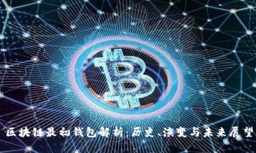 区块链最初钱包解析：历史、演变与未来展望