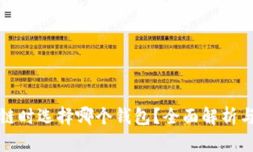 开发区块链时选择哪个钱包？全面解析与最佳选择