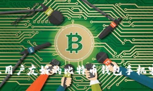 如何选择安全且用户友好的比特币钱包手机客户端:终极指南