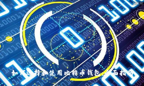 如何选择和使用比特币钱包:全面指南