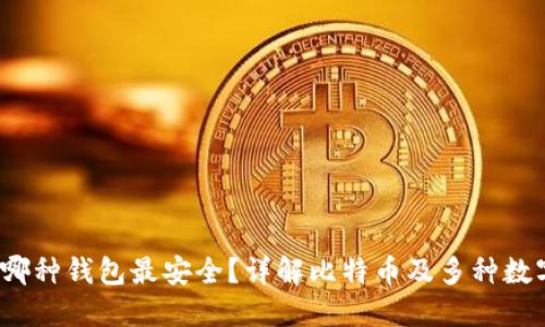 区块链安全之选：哪种钱包最安全？详解比特币及多种数字资产钱包的优劣