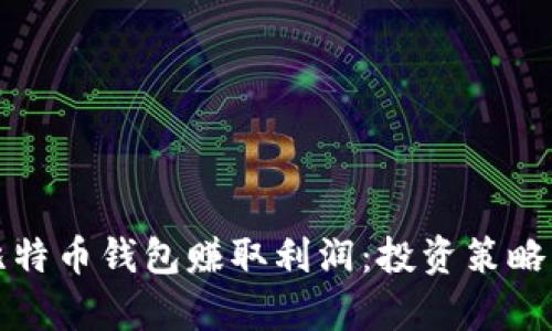 如何通过比特币钱包赚取利润：投资策略与市场分析