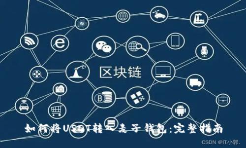 如何将USDT转入麦子钱包：完整指南