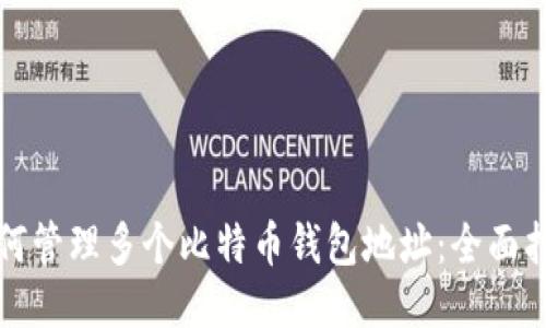 如何管理多个比特币钱包地址：全面指南