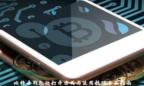 比特币钱包的打开方式与使用技巧全面指南