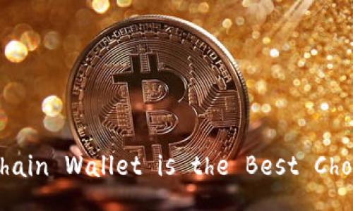 Which Blockchain Wallet is the Best Choice for You?
