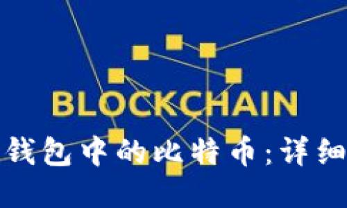 如何查看冷钱包中的比特币：详细指南与技巧