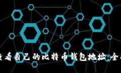 如何查看自己的比特币钱