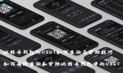 比特币钱包的USDT如何查询