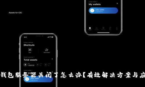 比特币钱包服务器关闭了怎么办？有效解决方案与应对策略