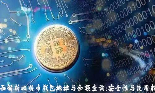
全面解析比特币钱包地址与余额查询：安全性与使用指南