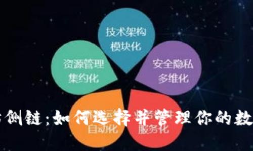 以太坊侧链：如何选择并管理你的数字钱包