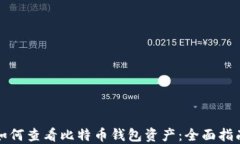 如何查看比特币钱包资产